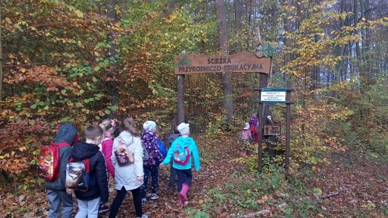  Grafika #8: Ścieżka przyrodniczo-edukacyjna  Dąb Świętopełk