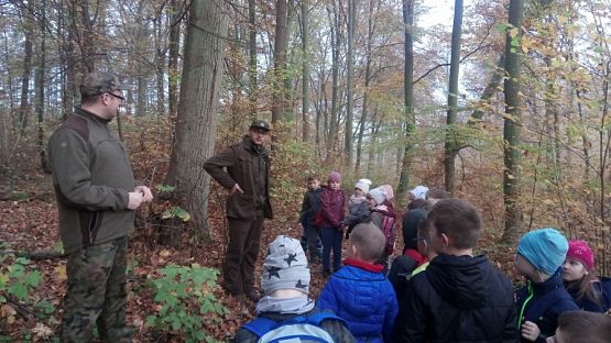  Grafika #0: Ścieżka przyrodniczo-edukacyjna  Dąb Świętopełk