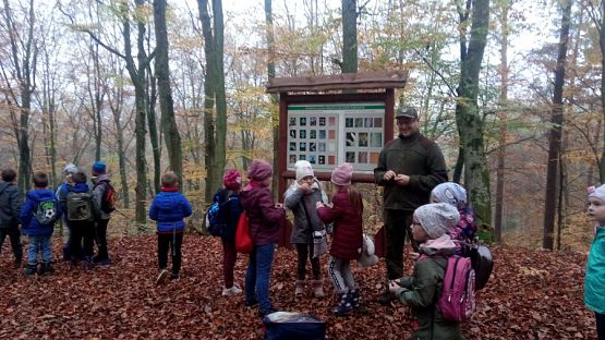  Grafika #4: Ścieżka przyrodniczo-edukacyjna  Dąb Świętopełk