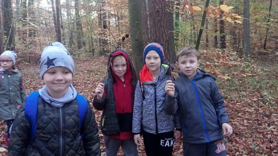  Grafika #5: Ścieżka przyrodniczo-edukacyjna  Dąb Świętopełk