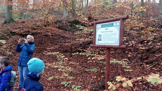  Grafika #7: Ścieżka przyrodniczo-edukacyjna  Dąb Świętopełk