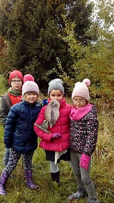  Grafika #3: Pomagamy dzikim zwierzętom