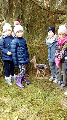  Grafika #8: Pomagamy dzikim zwierzętom