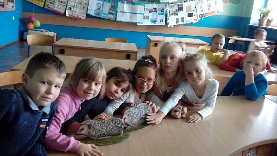  Grafika #1: Pomagamy dzikim zwierzętom