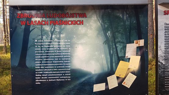  Grafika #5: Lekcja historii w plenerze