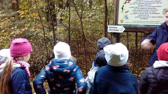  Grafika #5: Wycieczka grupy 0 a i 0 b do lasu