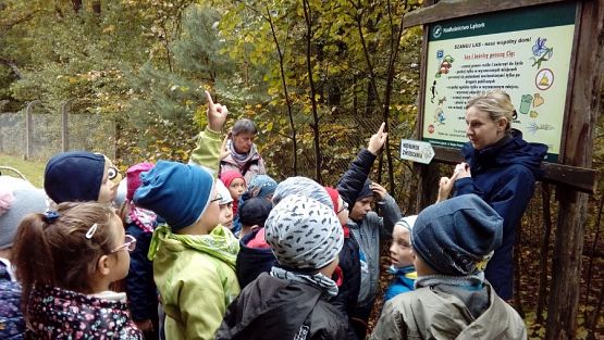  Grafika #0: Wycieczka grupy 0 a i 0 b do lasu