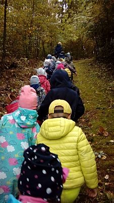  Grafika #8: Wycieczka grupy 0 a i 0 b do lasu