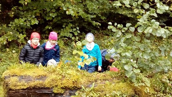  Grafika #33: Wycieczka grupy 0 a i 0 b do lasu