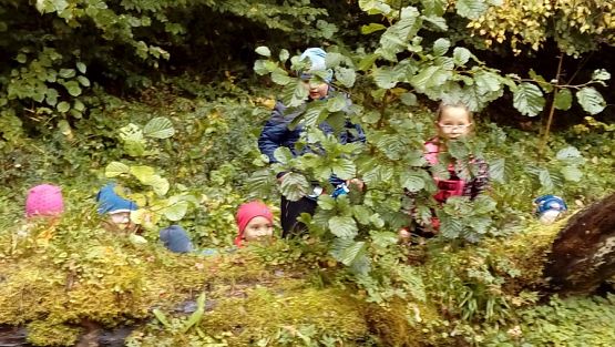  Grafika #2: Wycieczka grupy 0 a i 0 b do lasu