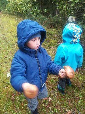  Grafika #1: Wycieczka grupy 0 a i 0 b do lasu