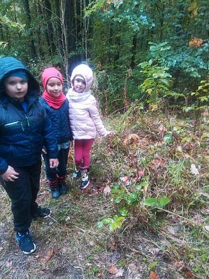  Grafika #54: Wycieczka grupy 0 a i 0 b do lasu