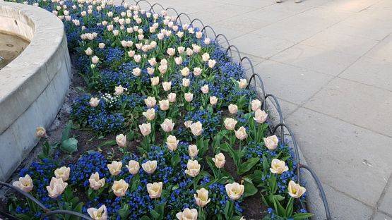  Grafika #12: Kolejny zjazd Uniwersytetu Młodego Chemika za nami.