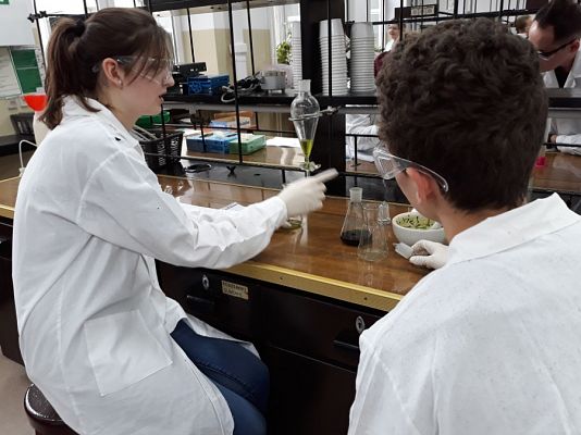  Grafika #9: Kolejny zjazd Uniwersytetu Młodego Chemika za nami.