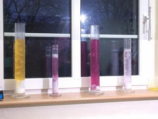  Grafika #7: WIZYTA W SLO LĘBORK