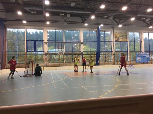  Grafika #5: Półfinały wojewódzkie w unihokeju