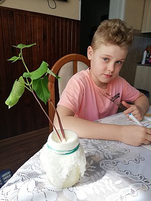  Grafika #5: Zdalne nauczanie w klasie 3b