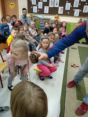  Grafika #8: Poznajemy ciekawe zawody