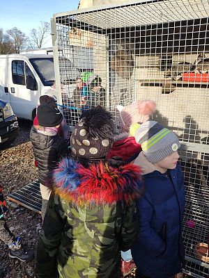  Grafika #4: Serdeczne podziękowania za przekazane dary przekazuje Schronisko w Małoszycach