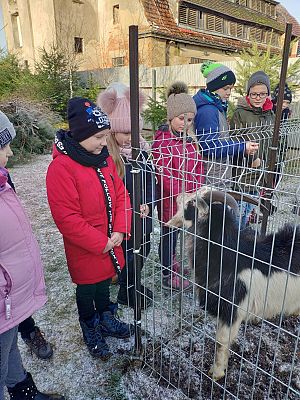  Grafika #2: Serdeczne podziękowania za przekazane dary przekazuje Schronisko w Małoszycach