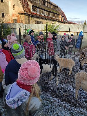  Grafika #0: Serdeczne podziękowania za przekazane dary przekazuje Schronisko w Małoszycach