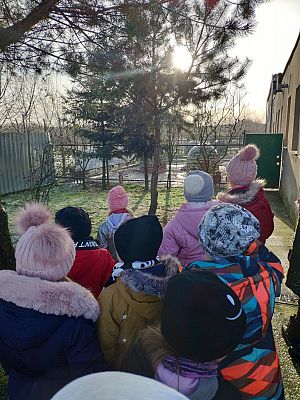  Grafika #1: Serdeczne podziękowania za przekazane dary przekazuje Schronisko w Małoszycach