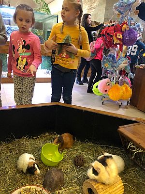 Grafika #6: Klasa 2a na wycieczce w Tuchlinie