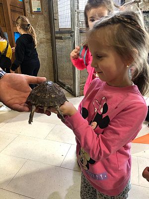 Grafika #2: Klasa 2a na wycieczce w Tuchlinie