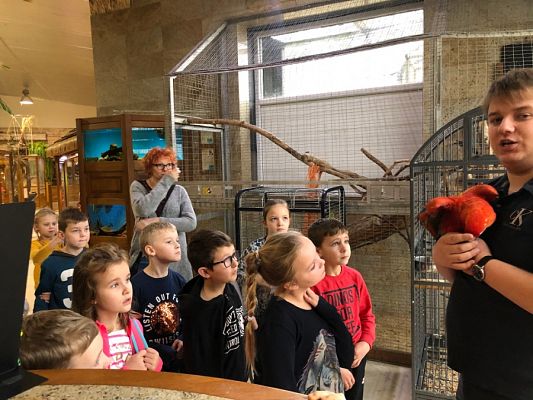 Grafika #0: Klasa 2a na wycieczce w Tuchlinie