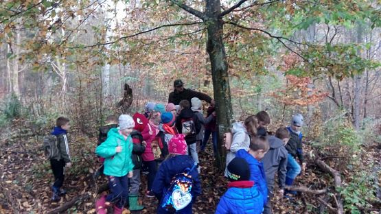  Grafika #3: Ścieżka przyrodniczo-edukacyjna  Dąb Świętopełk