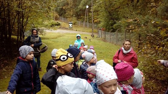  Grafika #6: Wycieczka grupy 0 a i 0 b do lasu