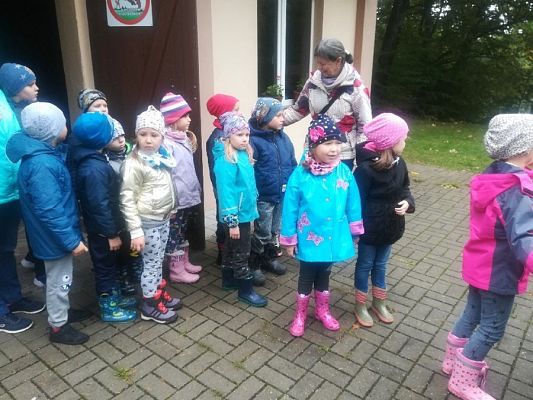  Grafika #55: Wycieczka grupy 0 a i 0 b do lasu