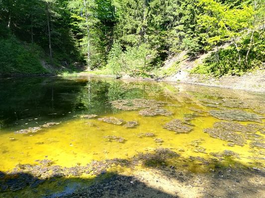 Grafika #41: Nasi uczniowie w Karkonoszach