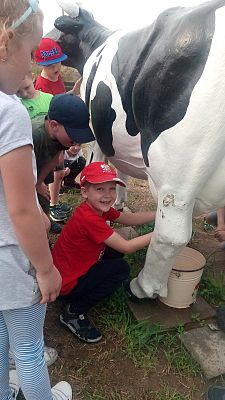  Grafika #11: SMERFNA PRZYGODA- GRĄBKOWO