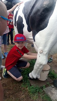  Grafika #12: SMERFNA PRZYGODA- GRĄBKOWO