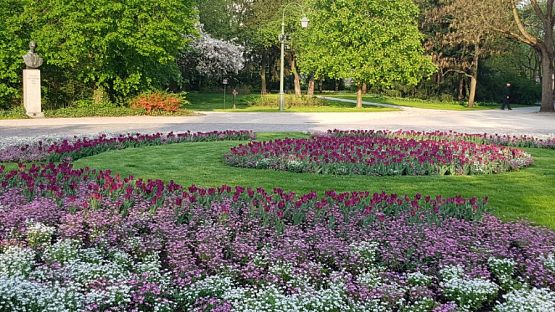 Grafika #16: Kolejny zjazd Uniwersytetu Młodego Chemika za nami.