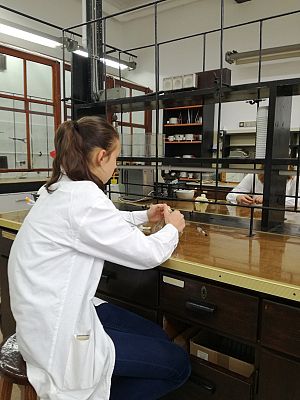 Grafika #1: Kolejny zjazd Uniwersytetu Młodego Chemika za nami.