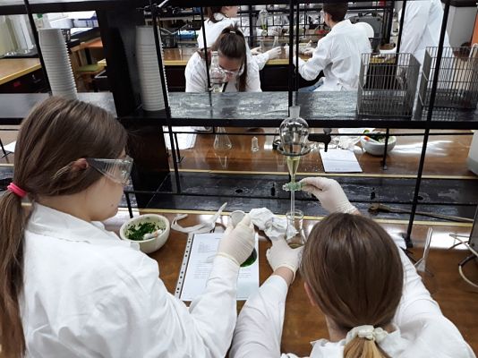 Grafika #6: Kolejny zjazd Uniwersytetu Młodego Chemika za nami.