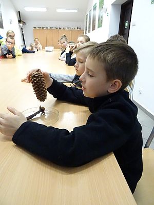  Grafika #9: Lekcja przyrody w Słowińskim Parku Narodowym