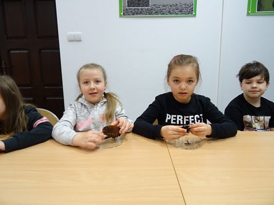  Grafika #6: Lekcja przyrody w Słowińskim Parku Narodowym