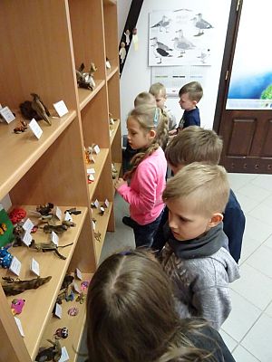  Grafika #11: Lekcja przyrody w Słowińskim Parku Narodowym