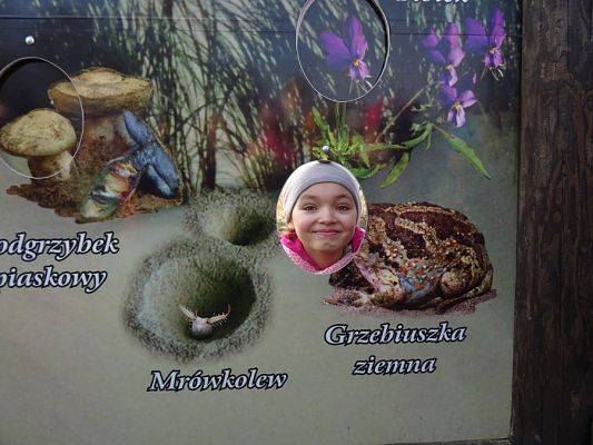  Grafika #15: Lekcja przyrody w Słowińskim Parku Narodowym