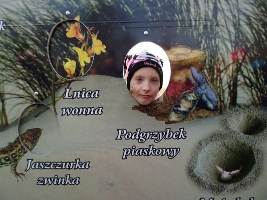  Grafika #16: Lekcja przyrody w Słowińskim Parku Narodowym