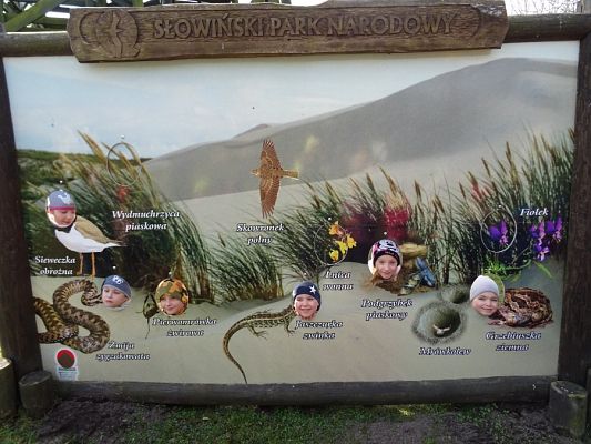  Grafika #24: Lekcja przyrody w Słowińskim Parku Narodowym