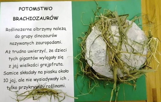  Grafika #9: Wyniki powiatowego konkursu Eko-DINO