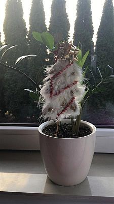 Grafika #29: Ręcznie robione, a nie kupione