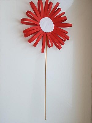  Grafika #5: Kokarda na Święto Niepodległości