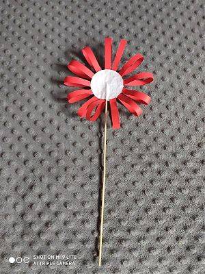  Grafika #11: Kokarda na Święto Niepodległości