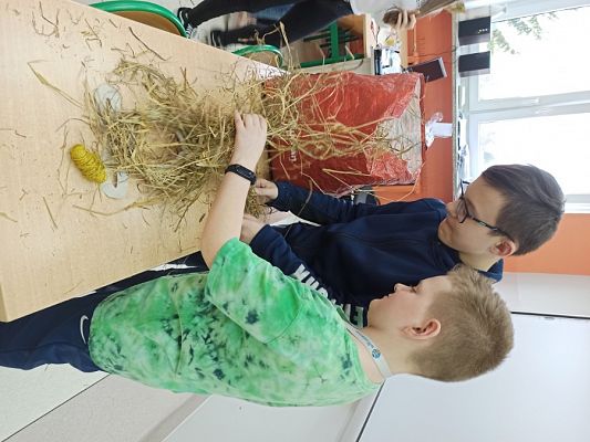  Grafika #6: Ozdoby Wielkanocne z siana