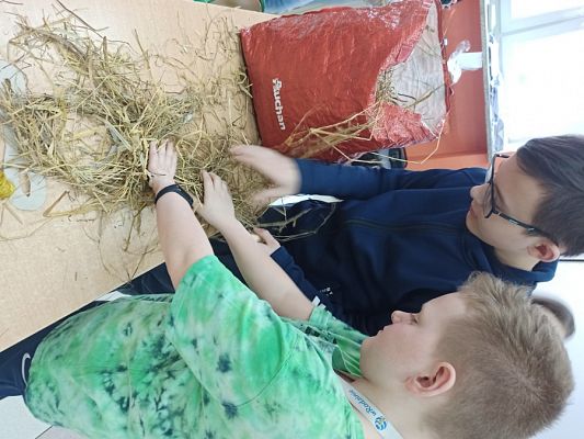  Grafika #8: Ozdoby Wielkanocne z siana